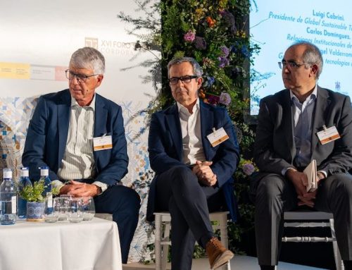GSTC was present at the 16th SICTED Forum 2024 in Córdoba, Spain